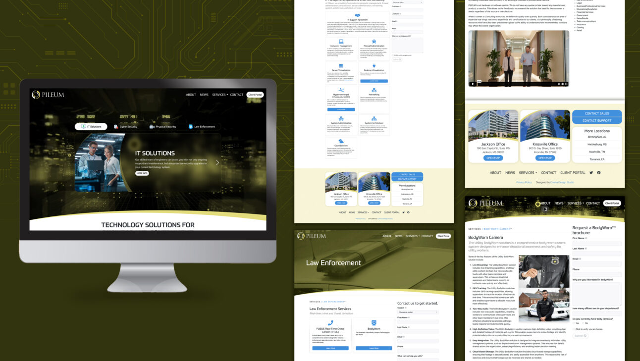 Pileum Corporation Website